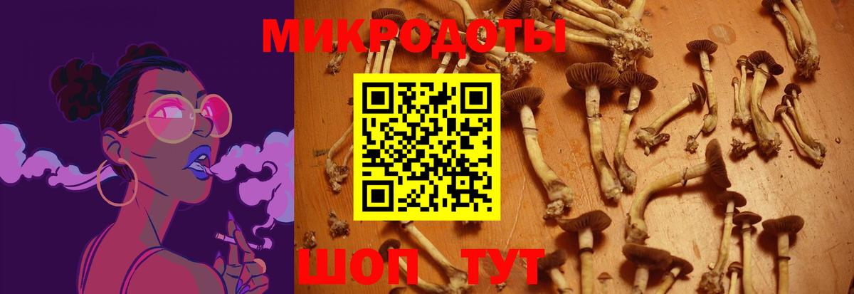Псилоцибиновые грибы Psilocybine cubensis Кушва